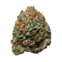 Buy Bubba Kush strain