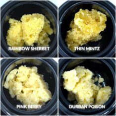 Dank Haus Labs - Budder 10 Pack Mix and Match