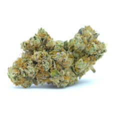 Death Sativa Small/Popcorn *$70/ounce Early Holiday Sale*