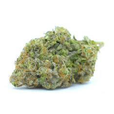 Loud Cake Small/Popcorn *$75/Ounce Sale*