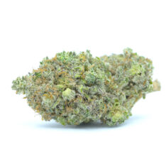 Platinum Purple Punch Small/Popcorn *$70/ounce Early Holiday Sale*