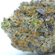 Tom Ford Pink Kush AAA+ *Early Holiday Sale*