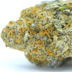 Cream Cakez AAAA- *50% OFF Early Holiday CLEAR OUT*