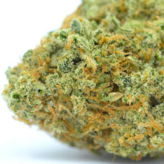 Miracle Fruit AAA+ *$78/ounce Early Holiday CLEAR OUT*