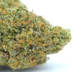 Sorbet AAAA- *Early Holiday Sale*