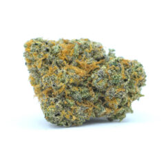 The Low Grow: Oreoz x Birthday Cake AAA+ *50% OFF Early Holiday CLEAR OUT*