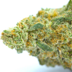 Cookies Grower: Death Chocolate Mousse LSO (ORGANIC) AAAA *35% OFF Early Black Friday* - 28 g