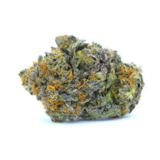 Cookies Grower: Mochi Gelato Small/Popcorn  *$70/ounce Early Holiday Sale*