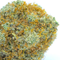 Forbidden Fruit OG AAAA- *$85/ounce Early Holiday Sale*