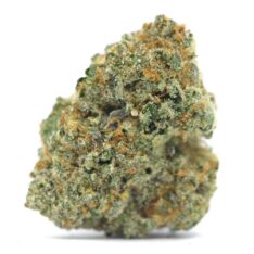 Death Bubba x Tom Ford AAA+