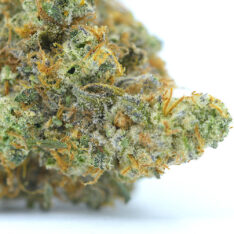 Cookies Grower: Death Mint Cookies AAAA *35% OFF Early Black Friday Sale* - 28 g