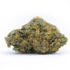 Scooby Snacks Small/Popcorn *$70/ounce Early Holiday Sale*