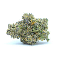 11 Weeks MMJ: Super Silver Haze x Forbidden Fruit Small/Popcorn