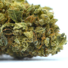 Zombie OG AAA+ *$110/oz Buy 1 Get 1 Free*