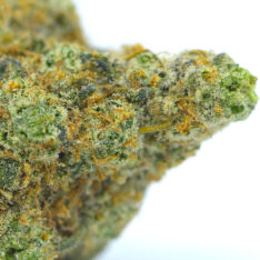 CG: Death Mint Cookies x Death Chocolate Mousse AAAA (Organic)