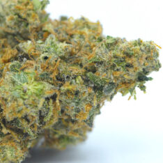 Cookies Grower: Earth Bind Cookies AAAA-