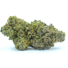 Gorilla Glue #4 x OG Kush Small/Popcorn