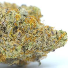 Cookies Grower: Mac Cereal Milk x Lemon Berry Candy AAAA  *$360/Quarter Pound Deal*