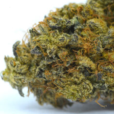 Pebble Punch AAA+ *$100/Ounce Buy 1 Get 1 Free*