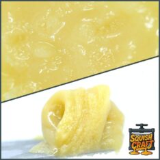Squish Craft - Live Hash Rosin 2G (Connoisseur Grade)